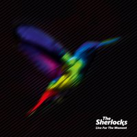 Chasing Shadows - The Sherlocks