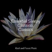 Water - Study Concentration, Asian Zen: Spa Music Meditation, Life Sounds Nature