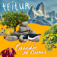 Ein Risi Fyri Teg - Teitur