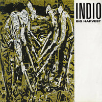 Hard Sun - Indio
