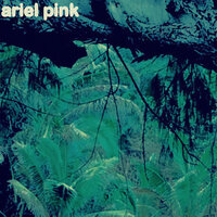 Tears On Fire - Ariel Pink