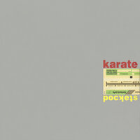 "The State I'm In" Aka "Goode Buy From Cobbs Creek Park" - Karate