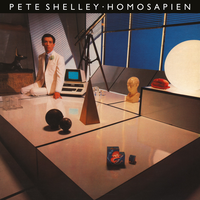I Generate A Feeling - Pete Shelley