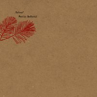 F Everything - Talons'
