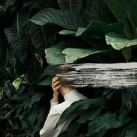 Lose Myself - From Indian Lakes