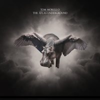 Roadrunner - Tom Morello, Leikeli47