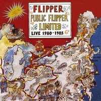 Hard Cold World - Flipper