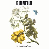 Schnee - Blumfeld