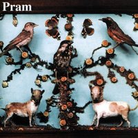 A Million Bubbles Burst - Pram