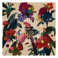 Falling Back - Washed Out
