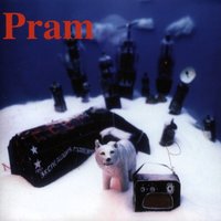 Cinnabar - Pram