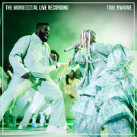 HOUSTON TRIBUTE - Tobe Nwigwe