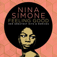 Don't Let Me Be Misunderstood - Nina Simone