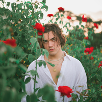 Let Me Hate You - Alexander Stewart