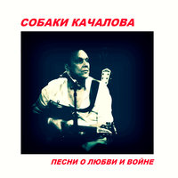 Каждый день война - Собаки Качалова