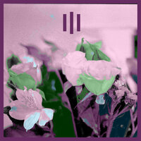 Libertine. - Triple One