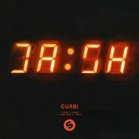 Insect - Curbi