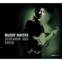 You're Gonna Need My Help I Said (Gonna Need My Help) - Muddy Waters