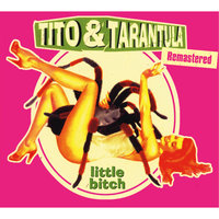 Silent Train - Tito & Tarantula