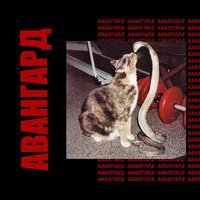 Бумеранг - вышел покурить