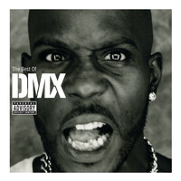 Party Up - DMX