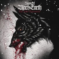Cross Contamination - Book of Black Earth