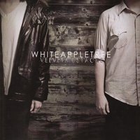 White Apple Tree