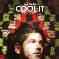 Let the Mountain Come to You - Sam Cohen
