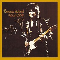 I Got Lost When I Found You - Ronnie Wood