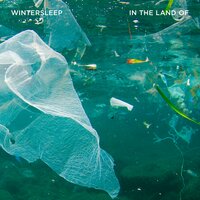 Beneficiary - Wintersleep
