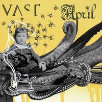 Frog - VAST