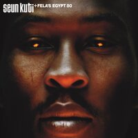Fire Dance - Seun Kuti