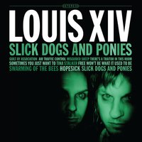 Stalker - Louis XIV