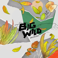 Crickets - Big Wild