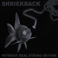 Woke Up Wrong - Shriekback