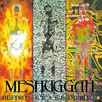 Aztec Two-Step - Meshuggah