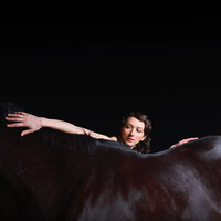 Magic Rabbit - My Brightest Diamond