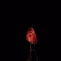 Enter My Void - Tvbuu