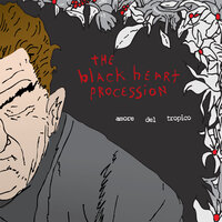 The Visitor - The Black Heart Procession