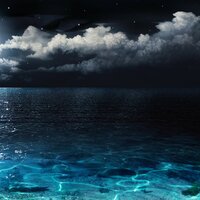 Flower in Bloom - Spa Music Collective, Serenity Spa Music Relaxation, Bar Lounge