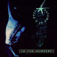 In Perpetuum - In The Nursery