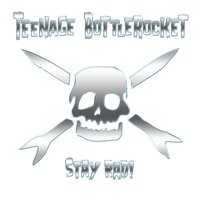 The First Time That I Did Acid Was the Last Time That I Did Acid - Teenage Bottlerocket