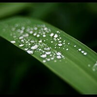 Sprinkled Starlight - Ambient Rain, Chill Out, Deep Sleep Relaxation, Chill Out, Deep Sleep Relaxation
