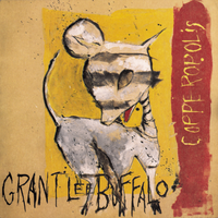 The Bridge - Grant Lee Buffalo