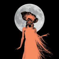 Stolen Roses - Karen Elson