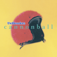 900 - The Breeders
