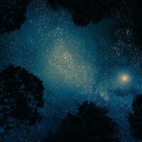 Don't Forget - Relaxation Meditation Songs Divine, Bossa Cafe en Ibiza, Nature Sounds Nature Music