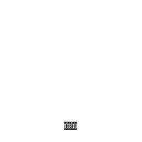 Invincible - Chris Travis