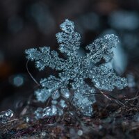 Snowy - Deep Sleep Music Delta Binaural 432 Hz, Children's Christmas Songs, Christmas Songs, Deep Sleep Music Delta Binaural 432 Hz, Christmas Songs