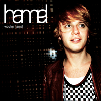 Useless Fraud - Wouter Hamel